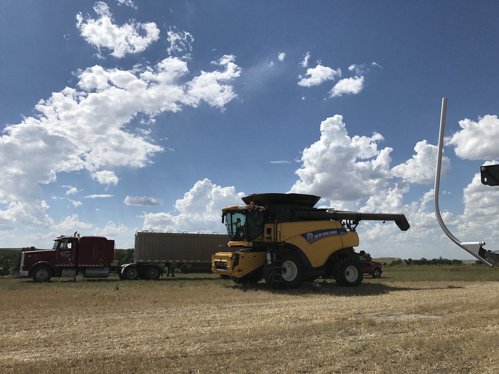 Z Crew: Because it's what harvestera do.