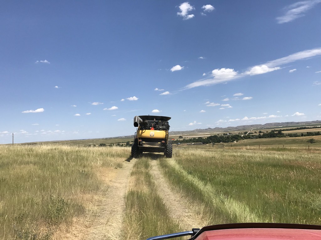 Z Crew: Because it's what harvestera do.