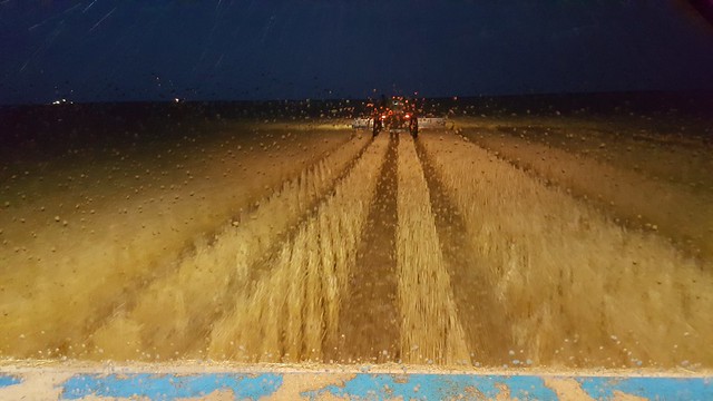 Schemper 2017 - Kansas Wheat Harvest