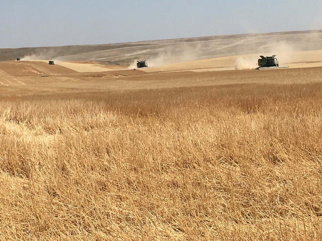 High Plains Harvesting 2017 (Mark)