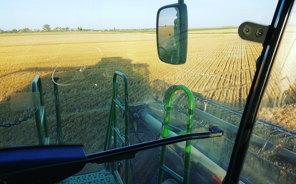 Schemper 2017 - South Dakota Wheat Harvest