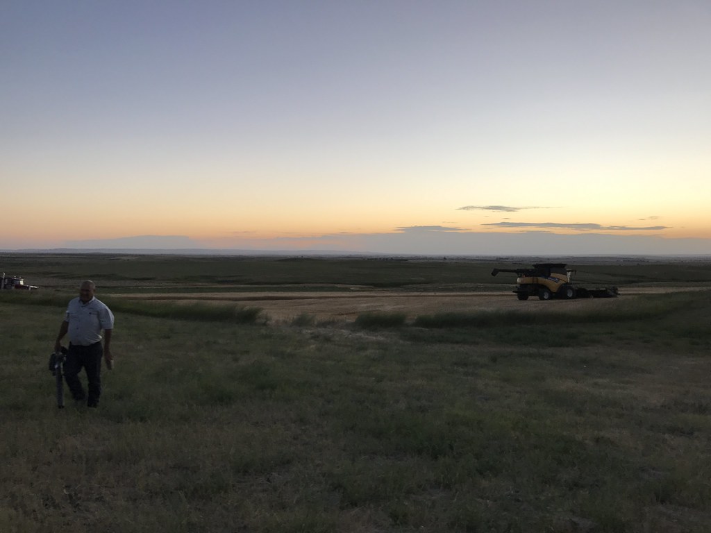 Z Crew: Because it's what harvestera do.