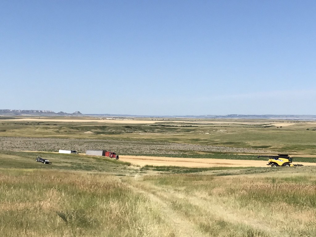 Z Crew: Because it's what harvestera do.