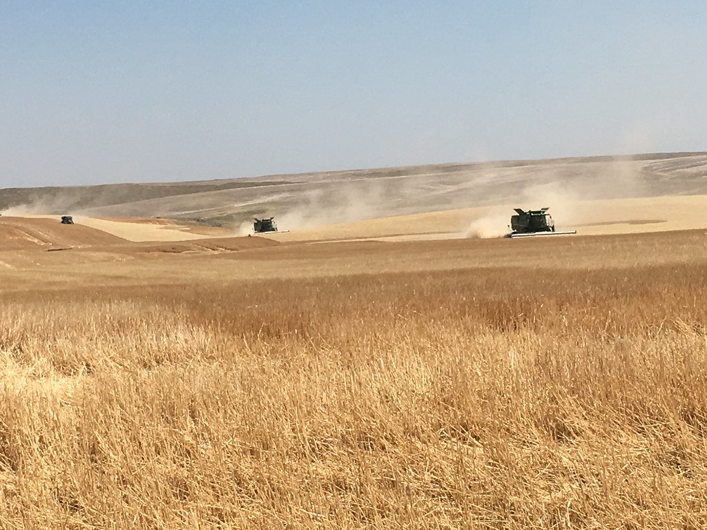 High Plains Harvesting 2017 (Mark)