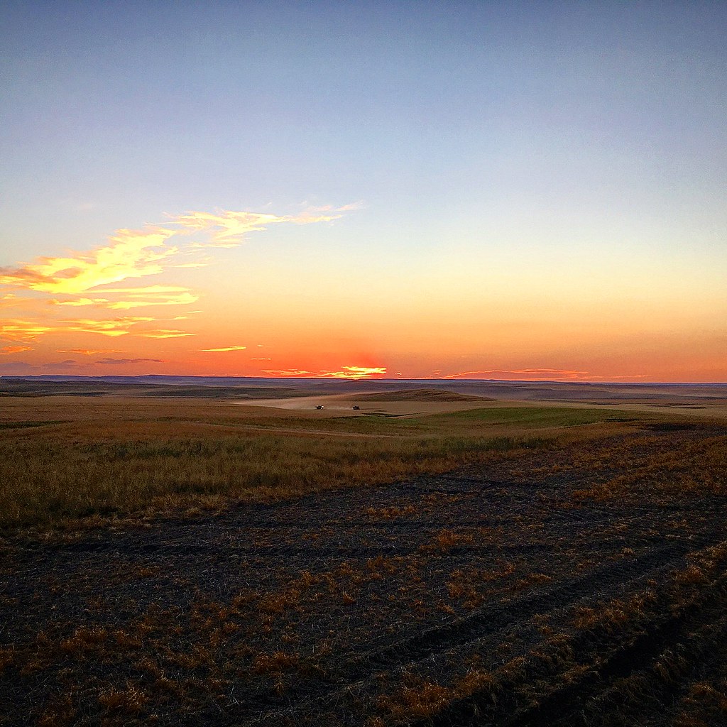 High Plains Harvesting 2017 (James)