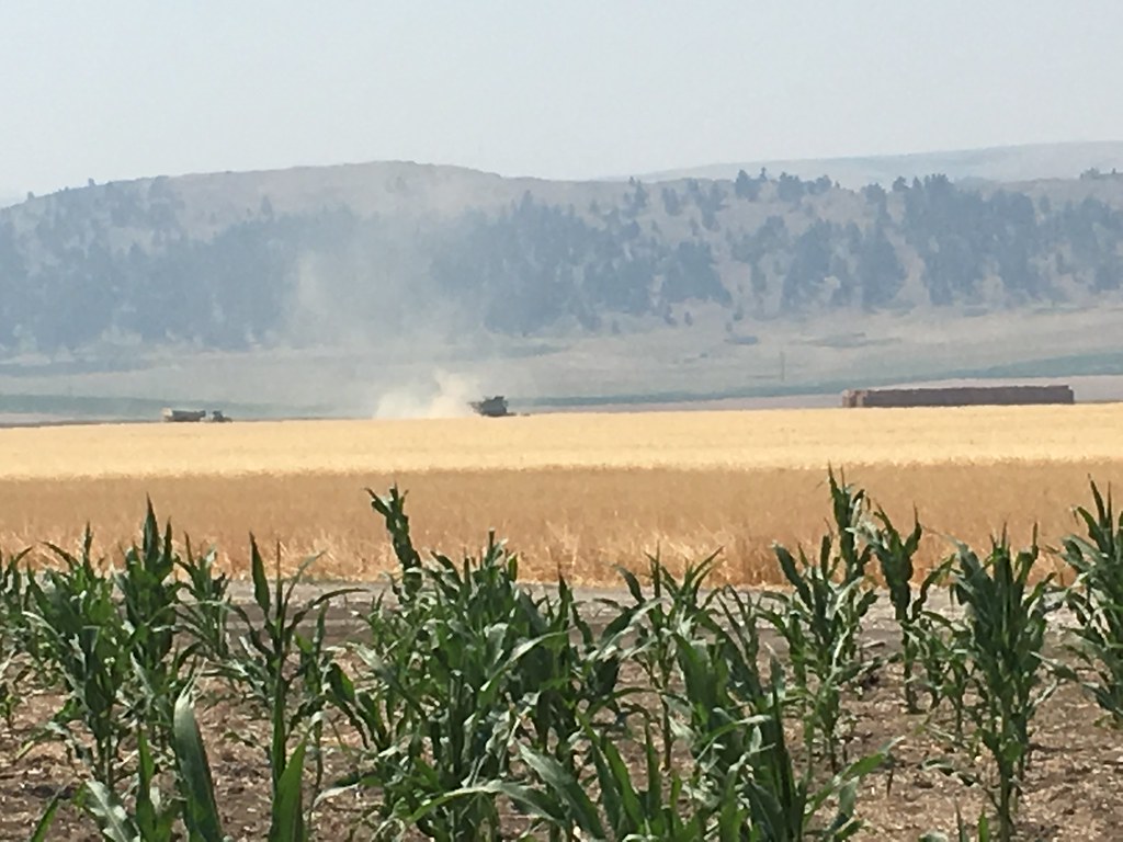 High Plains Harvesting 2017 (Mark)