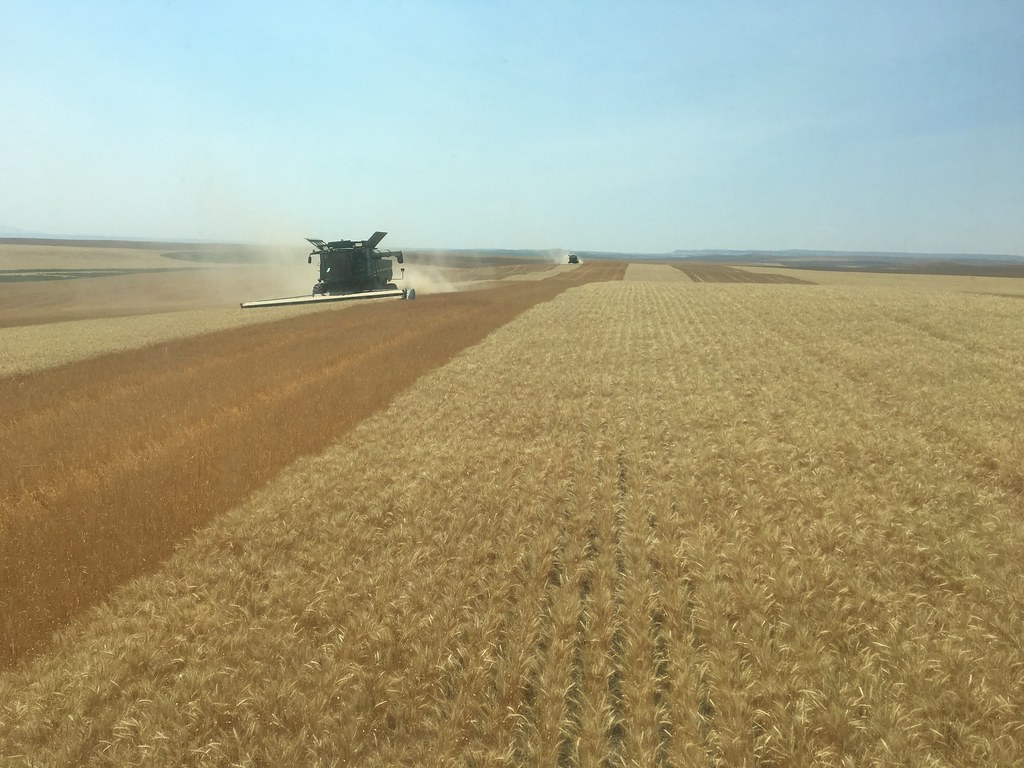 High Plains Harvesting 2017 (Odendaal)