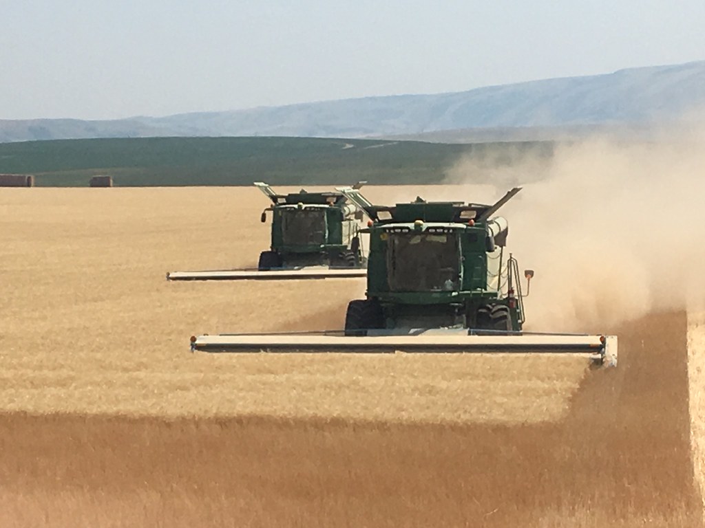 High Plains Harvesting 2017 (Willem)