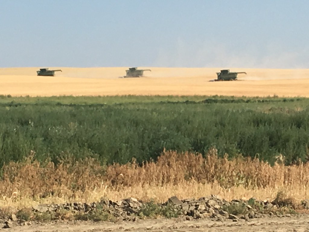 High Plains Harvesting 2017 (Mark)