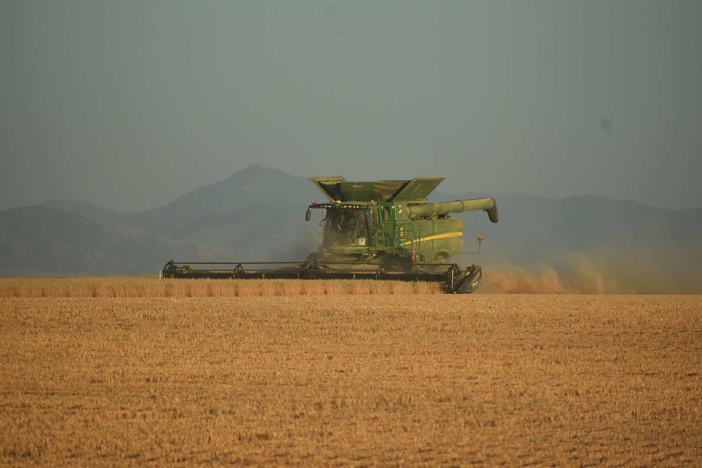 Schemper 2017 - Montana Wheat Harvest