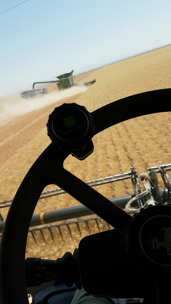 Schemper 2017 - Montana Wheat Harvest