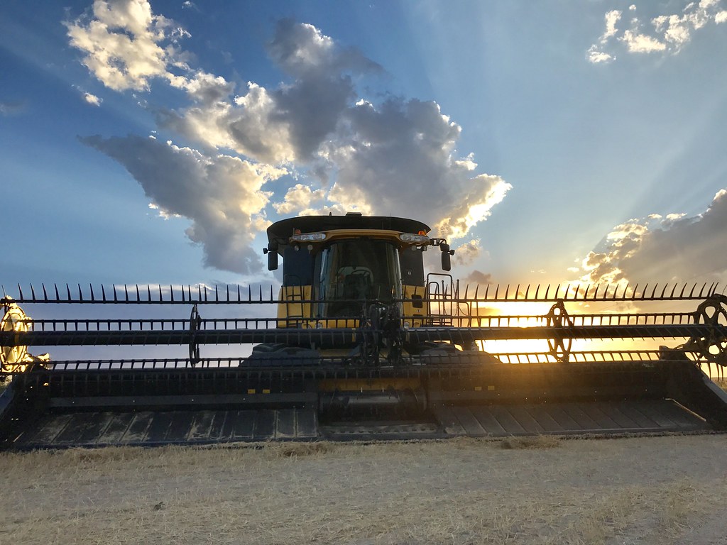 Z Crew: Because it's what harvestera do.