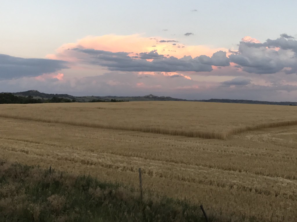 Z Crew: Because it's what harvestera do.