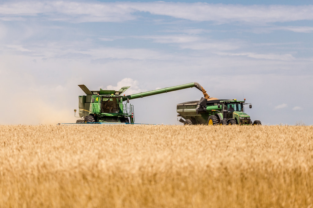 High Plains Harvesting 2017 (Laura)