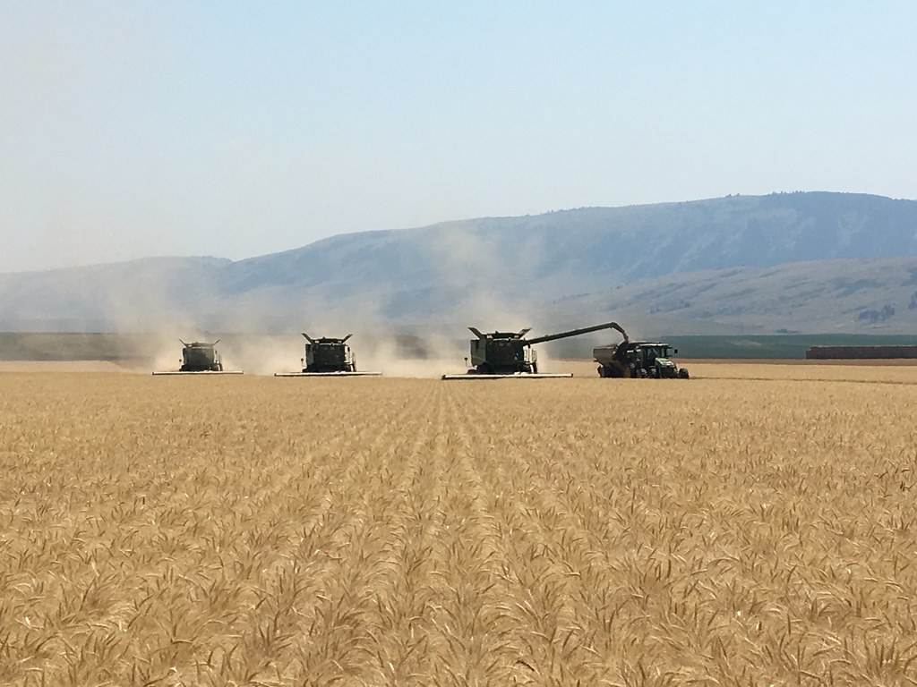 High Plains Harvesting 2017 (Willem)