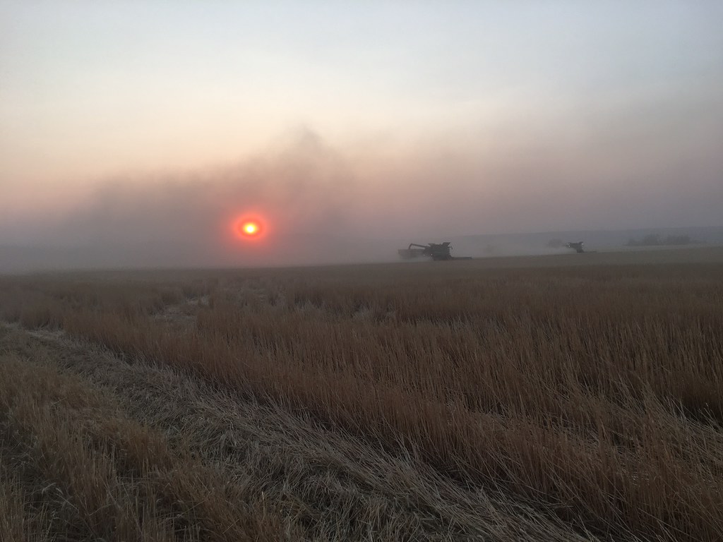 High Plains Harvesting 2017 (Mark)