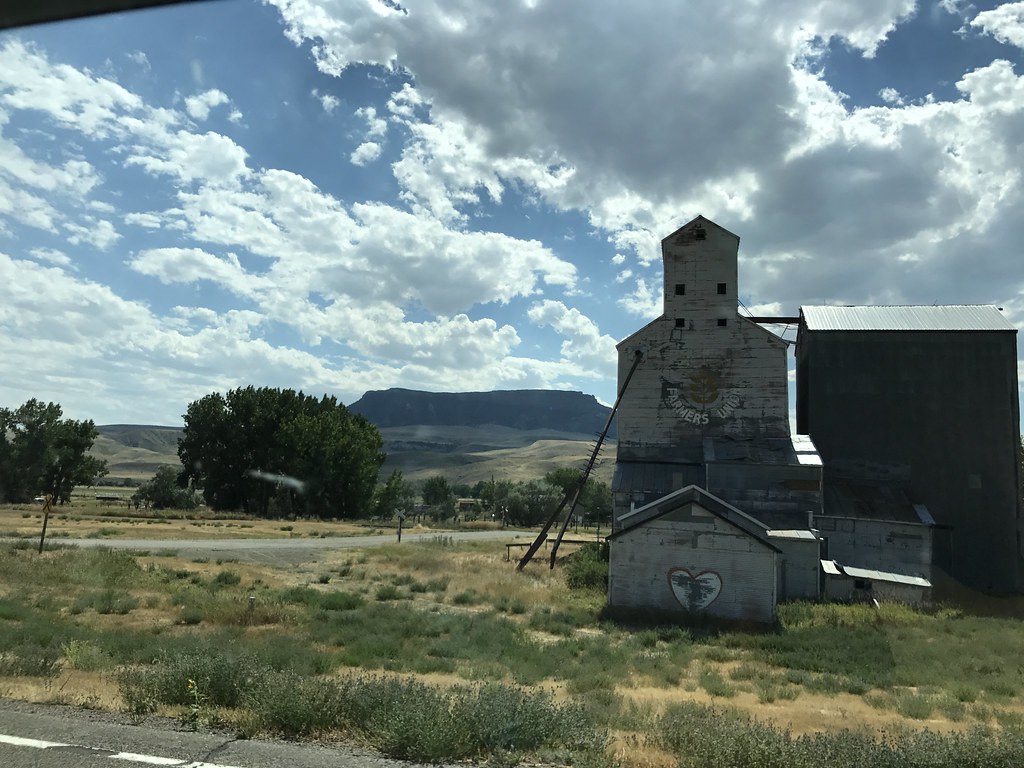 Z Crew: Because it's what Harvesters do!