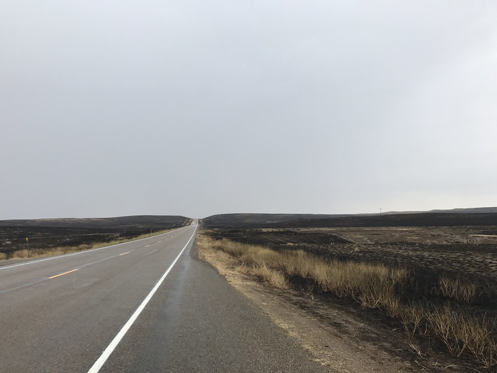 Z Crew: Because it's what Harvesters do.