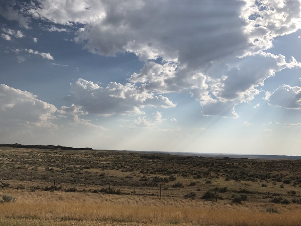 Z Crew: Because it's what Harvesters do.