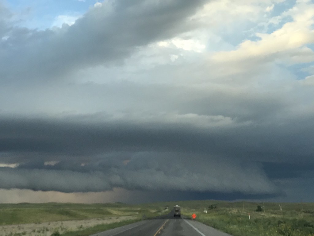 Z Crew: Because it's what Harvesters do!