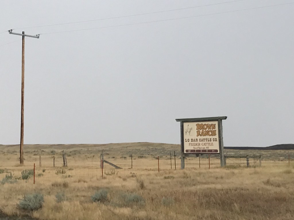 Z Crew: Because it's what Harvesters do.