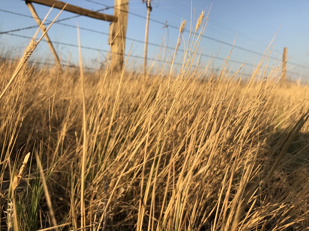 Z Crew: Because it's what Harvesters do.