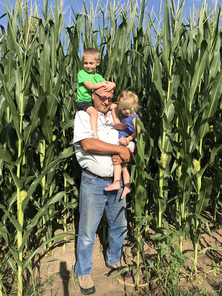 Z Crew: Because it's what Harvesters do!