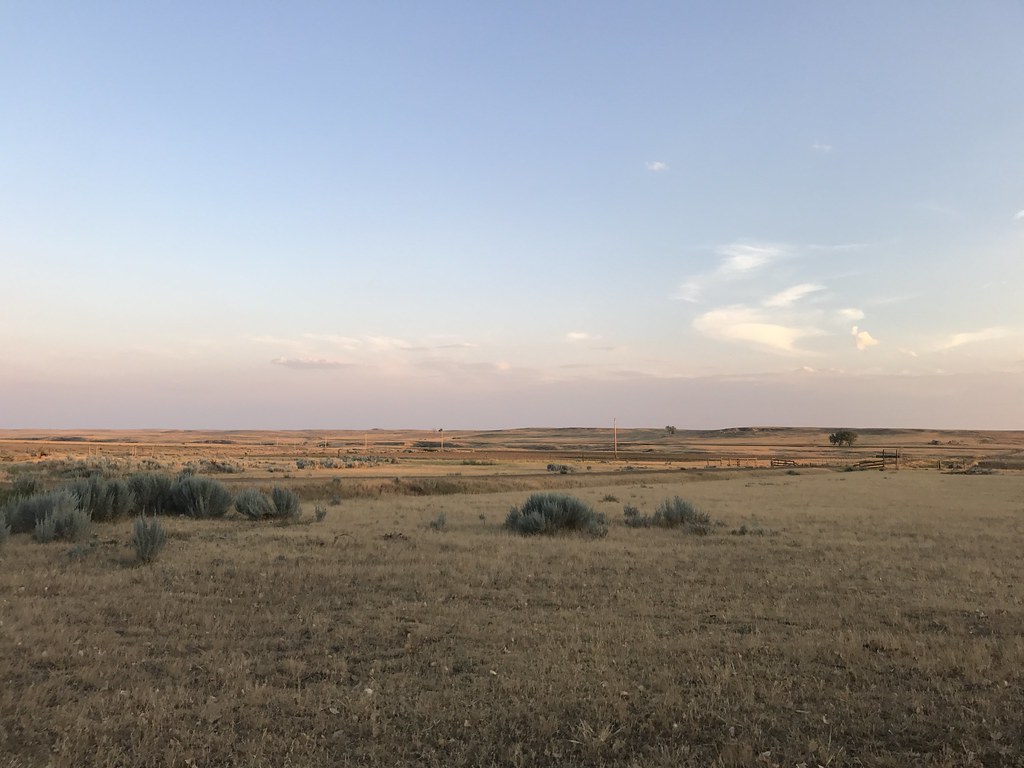 Z Crew: Because it's what Harvesters do.