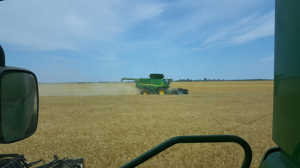 Schemper 2017 - South Dakota Wheat Harvest