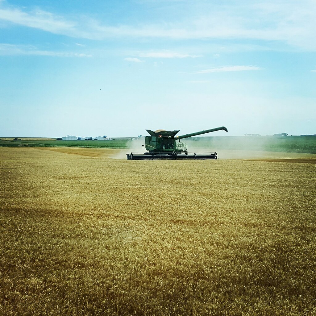 Schemper 2017 - South Dakota Wheat Harvest