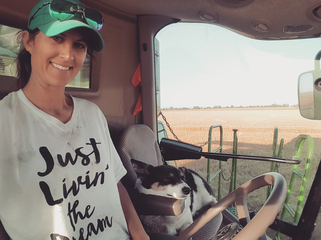 Schemper 2017 - South Dakota Wheat Harvest