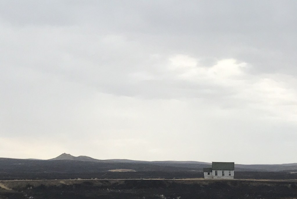 Z Crew: Because it's what Harvesters do.