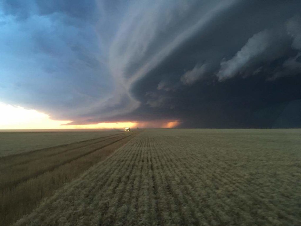 High Plains Harvesting 2018 (Adam)