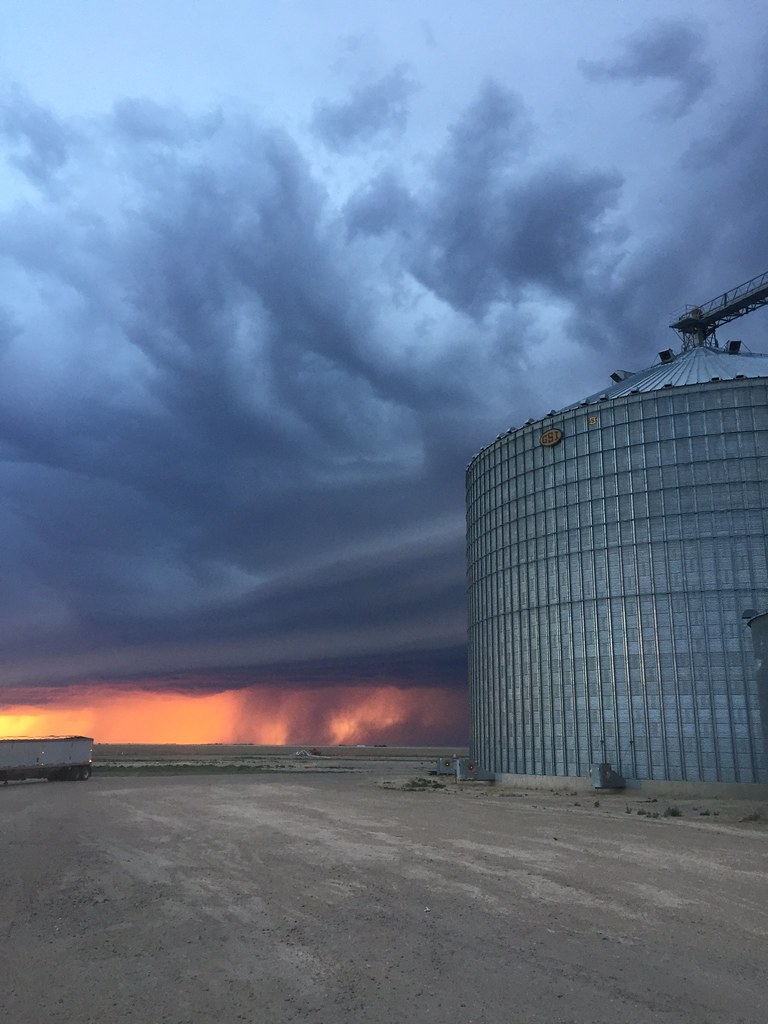 High Plains Harvesting 2018 (Ryan)