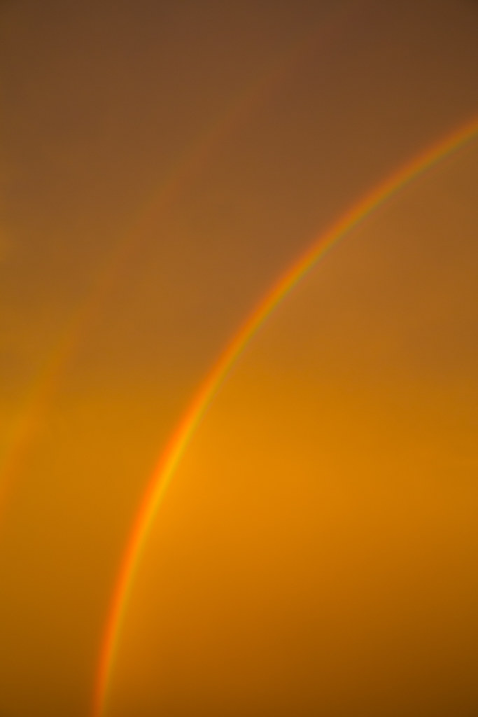 High Plains Harvesting