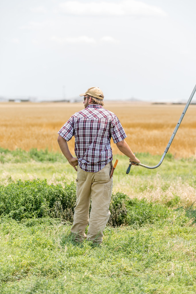 High Plains Harvesting 2018