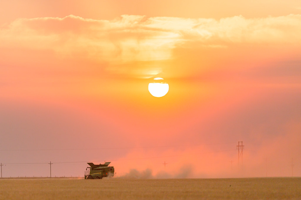 High Plains Harvesting 2018