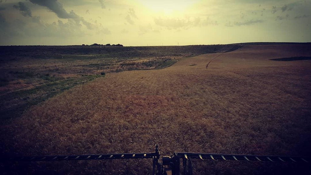 Schemper Harvesting 2018