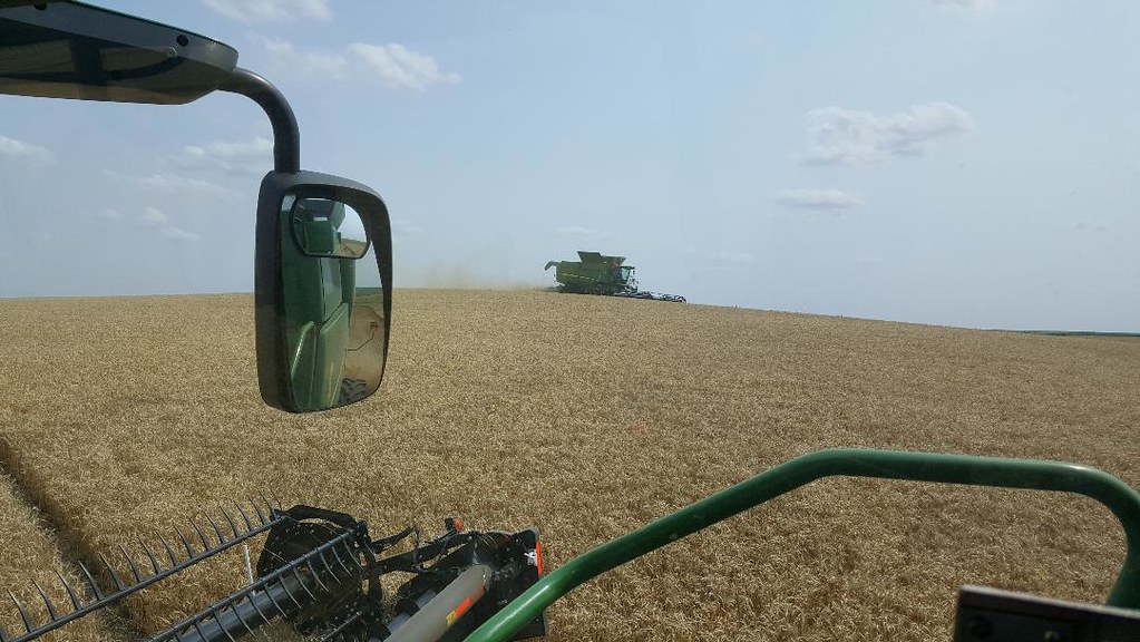 Schemper Harvesting 2018