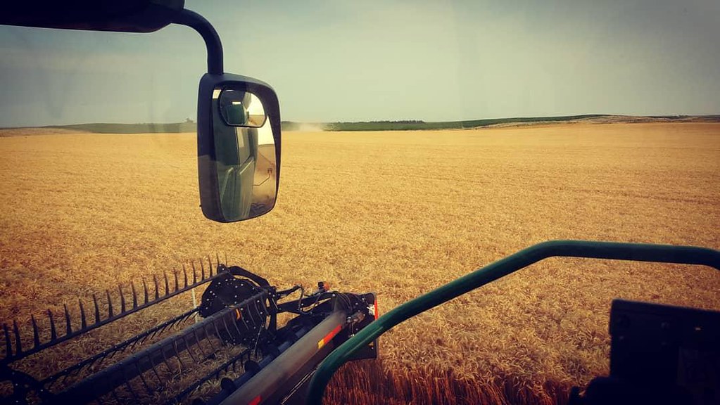Schemper Harvesting 2018