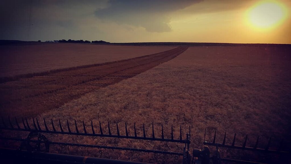 Schemper Harvesting 2018