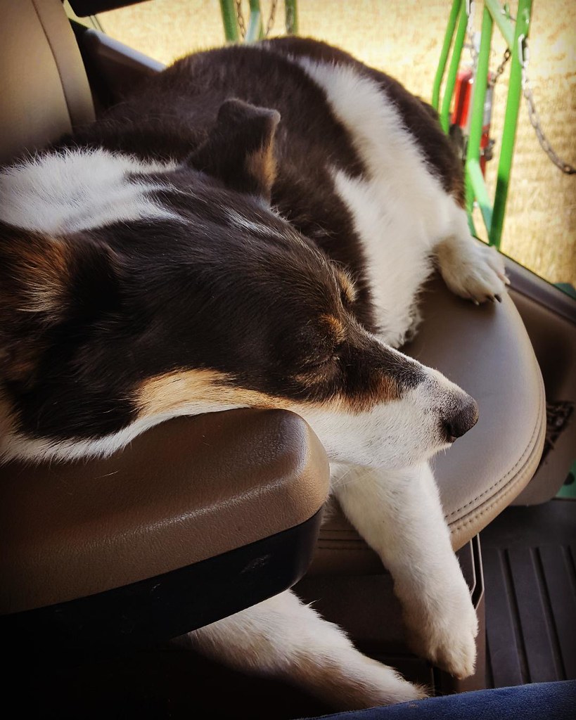 Schemper Harvesting 2018