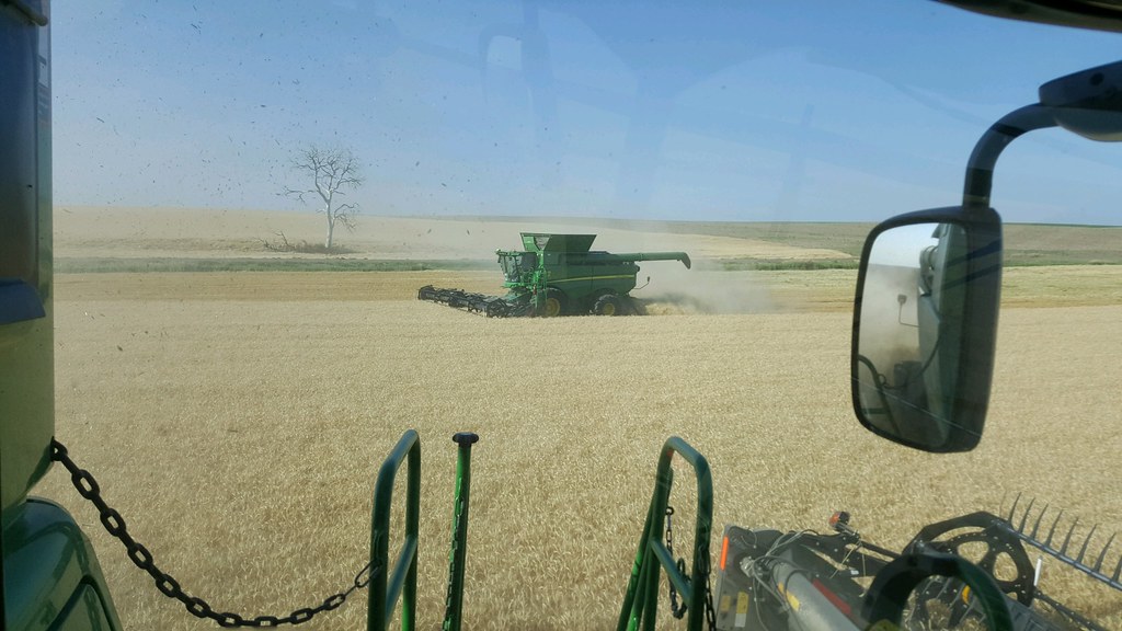 Schemper Harvesting 2018