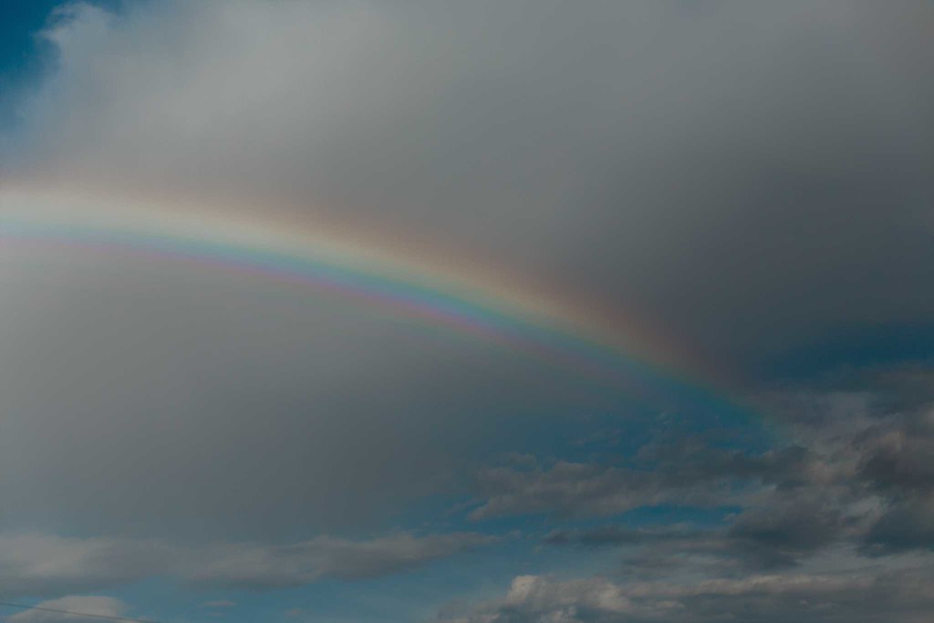High Plains Harvesting 2018