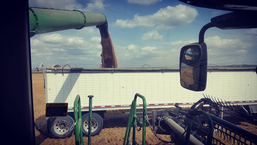 Schemper Harvesting 2018