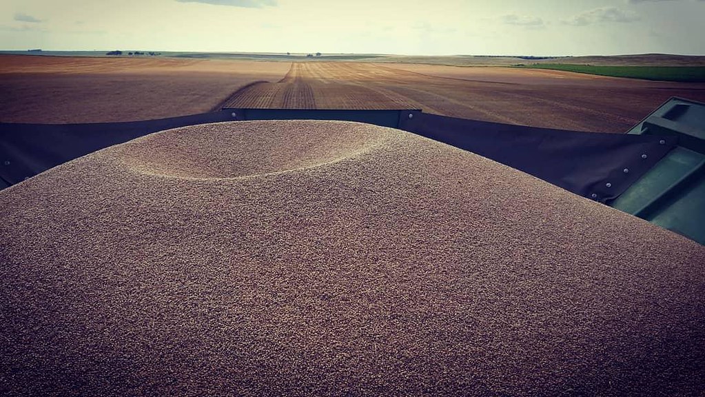 Schemper Harvesting 2018