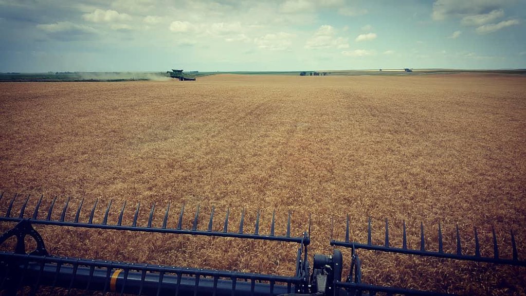Schemper Harvesting 2018