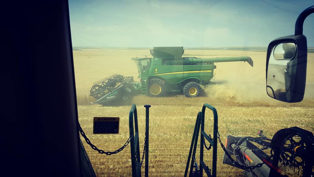 Schemper Harvesting