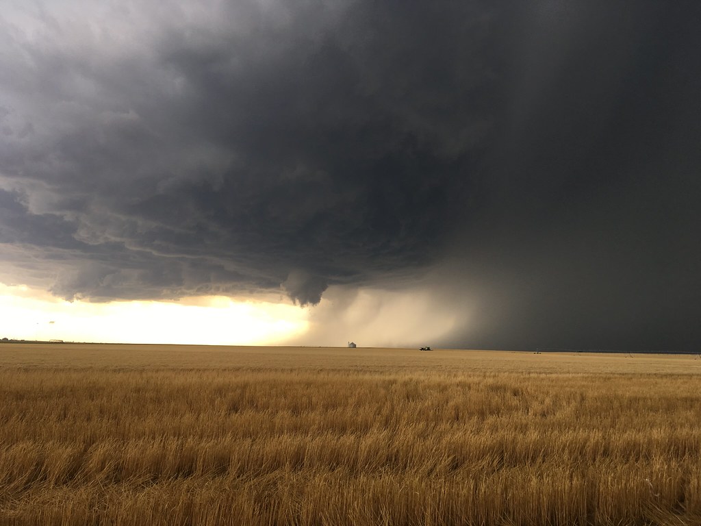 High Plains Harvesting 2018 - James 1