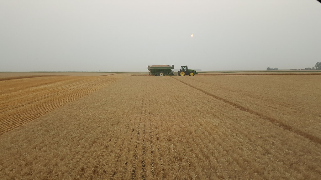 Schemper Harvesting